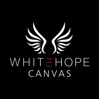 WhiteHope Canvas logo - Similar company to Quiklytics