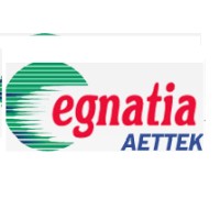 EGNATIA AETTEK logo - Similar company to Dlt Engineering