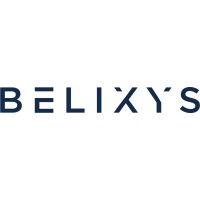 Belixys logo - Similar company to Room40