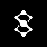 synergy.exe logo - Similar company to Mim