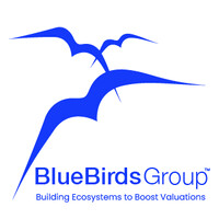 BlueBirds Group logo - Similar company to The Next Step Show Podcast (Nss Podcast)