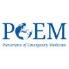 Panorama of Emergency Medicine logo - Similar company to This Matters Now