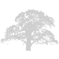 Oaktree Consulting LLC logo - Similar company to Oaktree Analytics