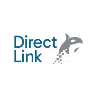 Direct Link logo - Similar company to Directlink