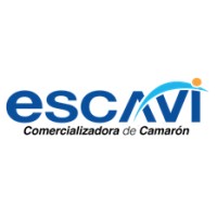 escavi logo - Similar company to Escavi
