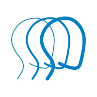 Brain Injury Association of Iowa logo - Similar company to Fin Strategies
