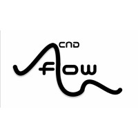 CND Flow logo - Similar company to Whitworth Student Investment Group