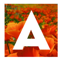 Affirm HR logo - Similar company to Affirm