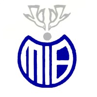 Millenium Insurance BrokersLtd logo - Similar company to Millennium Insurance Group