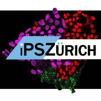 iPSZürich logo - Similar company to Electrophysiology Core Facility (E-Phac) At Uzh