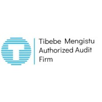 Tibebe Mengistu Authorized Audit Firm logo - Similar company to Adarash Tech