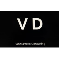 VisioDirectio Consulting logo - Similar company to Ctd Consulting