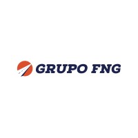 Grupo FNG logo - Similar company to Solutions Consulting Learning