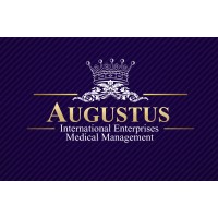 AIE Medical Management logo - Similar company to Virtare