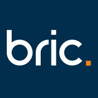 Bric logo - Similar company to Caag Software