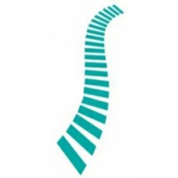 Spinesource Inc