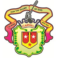 Carmel Convent Senior Secondary School logo - Similar company to Medi-Caps Ltd