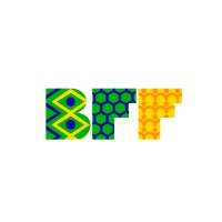 BFF Brazil Friends Foundation logo - Similar company to Wiselife