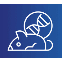 Geeks Labs logo - Similar company to Geekslabs