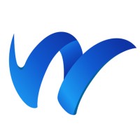 VWEB India logo - Similar company to Systems Owl