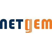 Netgem logo - Similar company to Ads