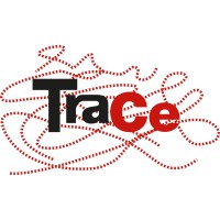 Research Center “Transformations of Political Violence” (TraCe) logo - Similar company to Center For Extremism, Radicalism, And Security Studies (C-Erss)