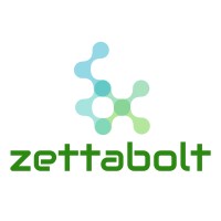 Zettabolt Technologies logo - Similar company to Zzoota