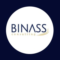 BINASS CONSULTING SAS logo - Similar company to Basalt Consulting