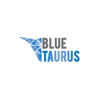 Blue Taurus Agency