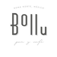 Bollu logo - Similar company to Kai Advisory