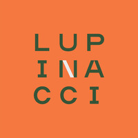 Lupinacci Arquitetura logo - Similar company to Material 8