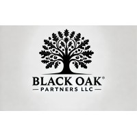 Black Oak Partners of Missouri, LLC logo - Similar company to Capstone It Solutions