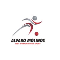 alvaromolinos logo - Similar company to Javi Sánchez
