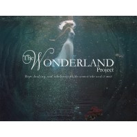 Wonderland Project logo - Similar company to Entheonation