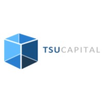 TSU Capital Group LLC logo - Similar company to Emerging Exchange