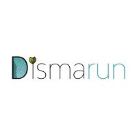 DISMARUN logo - Similar company to Jd Distribution Ile De La Réunion