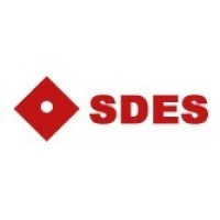 SDES LIMITED logo - Similar company to Enpower Engineering & Services