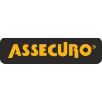 ASSECURO logo - Similar company to Ever Power Systems - Systemy Zasilania Gwarantowanego, Zasilacze Ups,