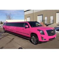 Party Bus Denver logo - Similar company to Busmanity – Nationwide Charter Bus & Party Bus Rental Service