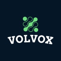Volvox Games logo - Similar company to The Game Circle