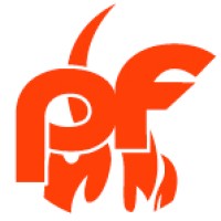 Platinum Fire Protection logo - Similar company to Hudson Valley Fire