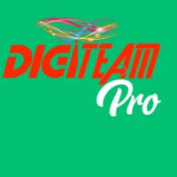 Digi Team Pro logo - Similar company to Digi Team