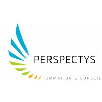 PERSPECTYS logo - Similar company to Bussone Constructions