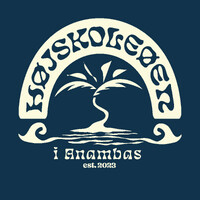 Højskoleøen logo - Similar company to Ungenrgi