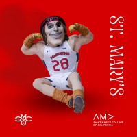 American Marketing Association | Saint Mary'S College Of California