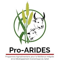 Pro-ARIDES logo - Similar company to Miabe Hackathon Niger