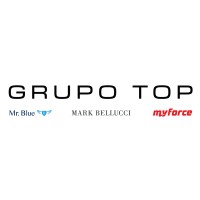 Grupo TOP logo - Similar company to Mr. Blue