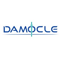 DAMOCLE  s.r.l. logo - Similar company to Gusto Analitico