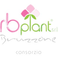 RB Plant Srl logo - Similar company to Lintera