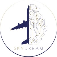 SKYDREAM - Consulting Company logo - Similar company to Mjollnir